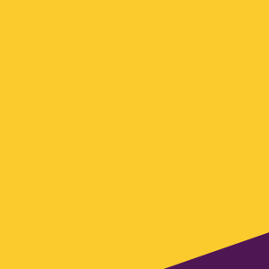 Teleton fondo